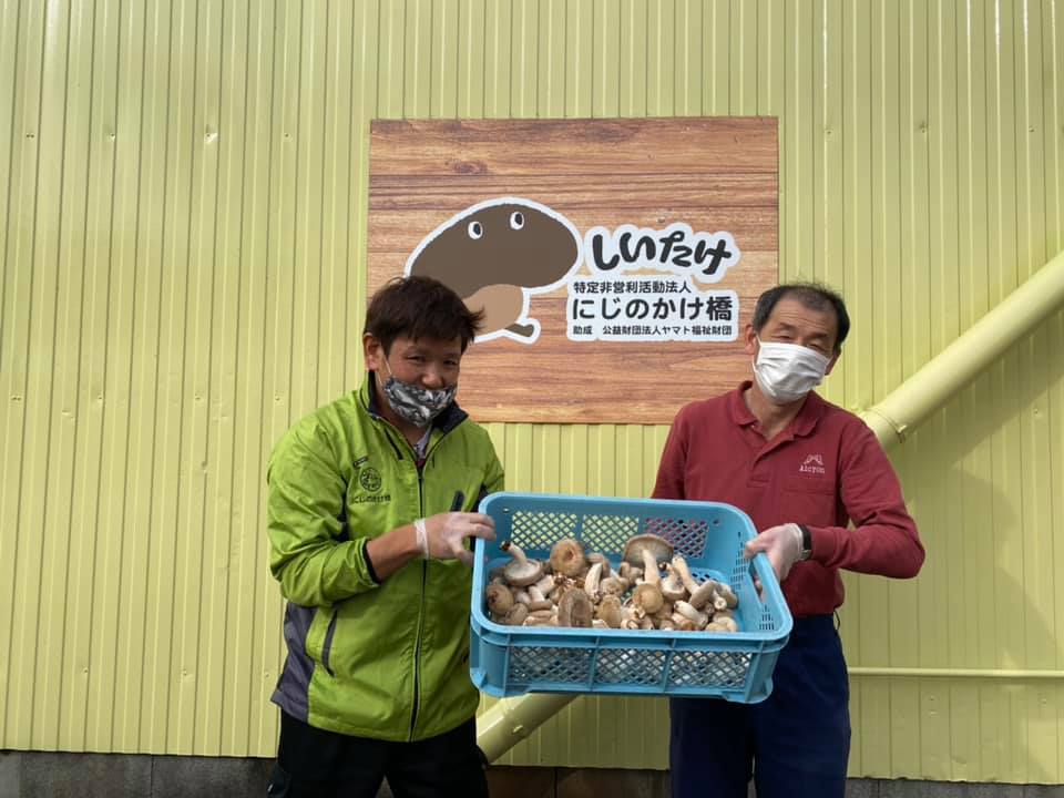 収穫したしいたけを紹介する2人